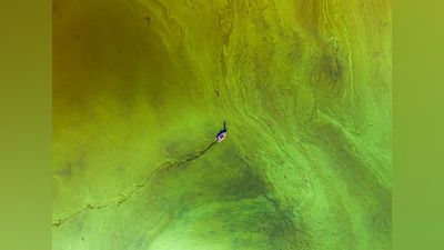 This award-winning drone photo juxtaposes the small scale of humans against our “massive impact” on the environment