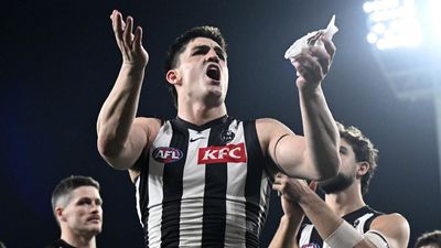 Magpie and Suns stalwarts fined for umpire contact