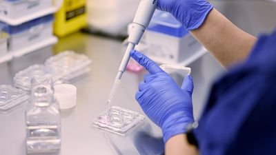 'Pure elation': Aussie IVF innovation sparks baby joy