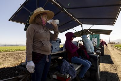 Only Six States Require Heat Breaks for Workers. The Other 44 Are on Their Own