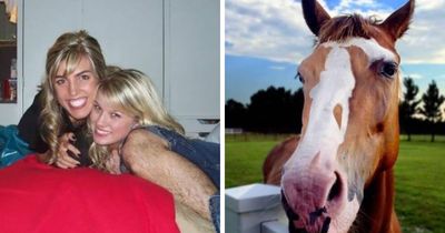 68 Pics That Seem Innocent At First But Then Make You Do A Massive Double-Take