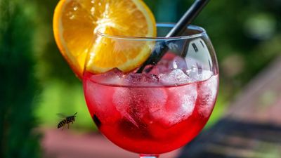 How to banish 7 common summer pests without killing them