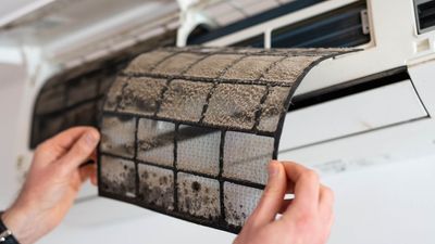 Stop mold from spreading through your home via AC this summer