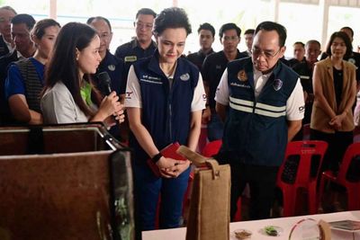 Community collection hubs target coconut glut