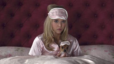 The Love Triangle In The Legally Blonde Prequel Has Me Distressed, And One Of Elle's Stars Made Me Realize Why