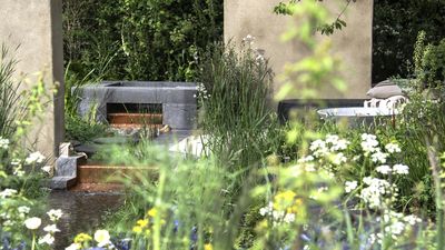Hydrozoning Is the Secret Garden Layout Idea Designers Use to Make Heatwave Watering Easier