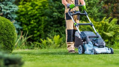 How to mow a checkerboard pattern in your lawn this summer — and impress the neighbors