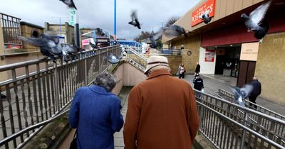 'Hire a Scottish commissioner to tackle pensioner poverty' urges charity