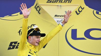 Denmark's Vingegaard takes Tour de France lead with 'perfect start'