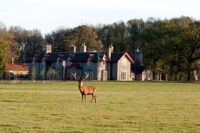 Country pub of the week: The Gunton Arms, Norfolk