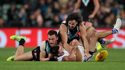 'A lot is different': the big fix for Port coach