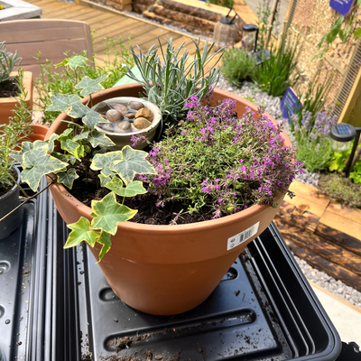 Pollinator pitstops are the easiest way to make tiny gardens wildlife-friendly and fill your outdoor space with colour and fragrance