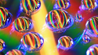 "I cannot replicate this one. Ever" –This macro photo was shot with a DSLR from 2009