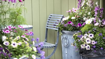 The Best Tools to Keep Small Gardens Hydrated in a Heatwave – They Make Watering Effortless, And Don't Take up Precious Space