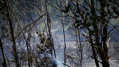 Tour de France stage to go ahead with changes as fires ravage southern Europe