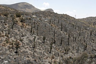 Arizona man caught living illegally in forest for years amid massive trash pile
