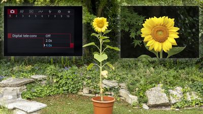Have you ever used the digital telephoto modes on your Canon camera? Well, DON'T BOTHER!