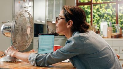 Every summer, I lose at least a day of creative work to the heat – but not this time