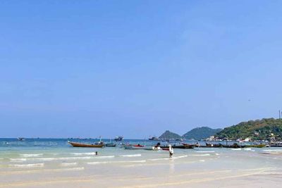 Koh Tao arrivals set to top 800,000