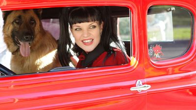 NCIS Knew It Was ‘Losing Pauley Perrette’ Before It Happened. How They Pivoted