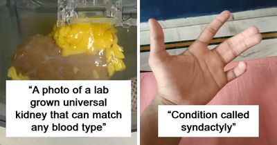 82 Fascinating Pics And Quick Facts For A 5-Minute Brain Boost (New Pics)