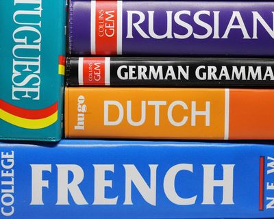 Learning another language appears to slow brain ageing, scientists say