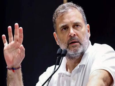 'MSMEs being strangled': Congress leader Rahul Gandhi puts out video of visit to bus, truck body-building workshop