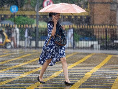 Heavy rain triggers tree falls, wall collapse in Thane; fireman injured
