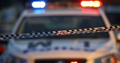 Through a fence and into a shed: Abermain driver's licence suspended