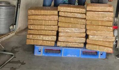 India proposes dedicated BRICS Virtual Working Group to combat narcotics trafficking