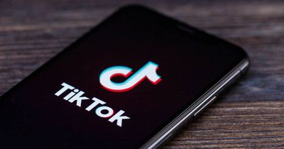 Your TikTok feed might know you're queer before you do, uni study finds