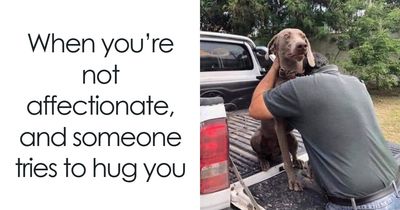 49 Funny And Wholesome Dog Memes Shared By “Dog Memes Galore”