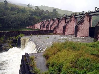 Mekedatu dam row: File contempt case against Karnataka in SC, says AMMK chief Dhinakaran