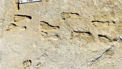 23,000-year-old footprints in White Sands are rewriting the story of the first humans in the Americas