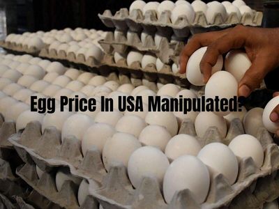 Egg prices in USA artificially spiked? Three producers accused of price-fixing agree to pay $3.3 million, donate 53,000,000 eggs