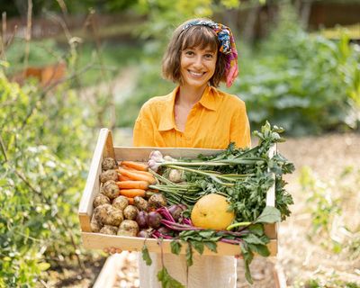 I’m having a tradwife summer – but I’d rather be a tradhusband