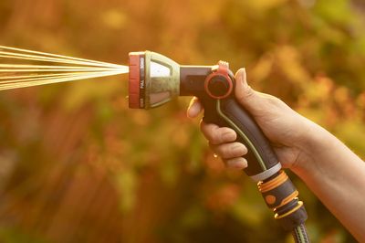 Stop using hosepipes, Thames Water urges as London faces 34C heatwave and no rain for days