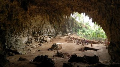 Earth’s ‘Hobbits’ may have failed to survive and yet lived longer than expected because of their relationship with Komodo Dragons