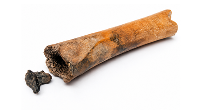 Archaeologists discover 2,000-year-old Roman bone container with a ‘drug stash’ hidden inside