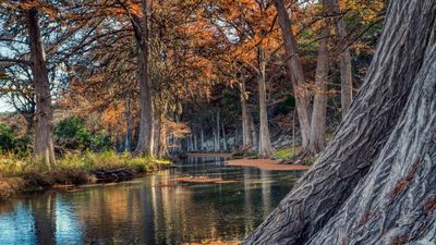 When the Guadalupe River flooded last year, a Texas father lost his daughters and parents to the waters, but it is a text message that keeps him going