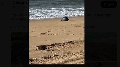 Space debris on Queensland beach: 'space balls' washed ashore, do not touch
