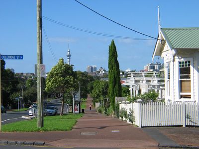 A brief history of Grey Lynn junkies