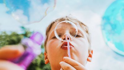The Boy Who Cried 'Bubble': What if He's Right This Time? What Investors Need to Consider