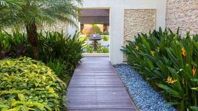 How to Create a Tropical Urban Oasis in a Small Space – 7 Plants That Will Transform Your Yard into a Lush Jungle Retreat
