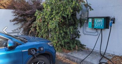 Sharp shock: counting the cost after copper thieves cut EV chargers