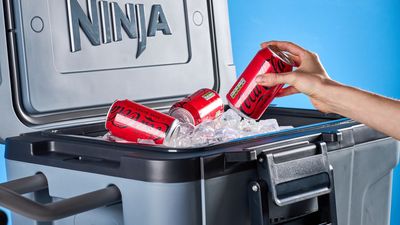 I tested Ninja’s premium cooler last year — here’s why it’s still my top summer must-have