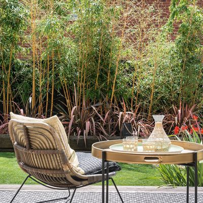 3 experts reveal the tricks they use to plan the perfect garden on a small budget – low-cost tips to make your outdoor space look lovely this summer