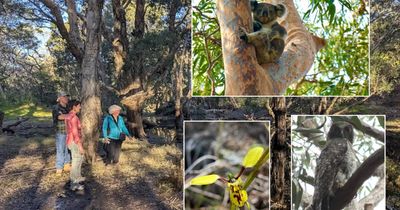 Will this crucial coastal bushland finally get park status?