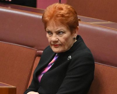 What Australia can learn from the rise of populists around the world to avoid following Hanson down her rabbit hole