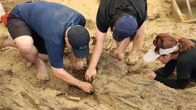 Archaeologists found two 2,000-year-old gold rings in a rice field in Thailand; one carries an ancient Brahmi inscription